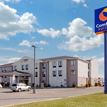 Comfort Suites South Haven Near I-96 Kültér fotó